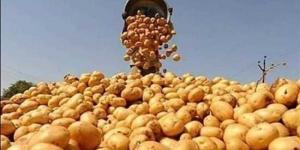 بالبلدي : وزير الزراعة يعلن فتح أسواق المغرب أمام البطاطس وأسواق كندا أمام الفراولة