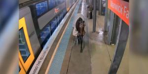 belbalady انتهت مغامرته دون أن يركب القطار.. شاهد لحظة دخول حصان هارب محطة مترو أنفاق