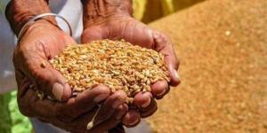 بالبلدي : وزير التموين: بدء موسم توريد القمح المحلى الإثنين ونستهدف استلام 3.5 مليون طن