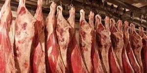 بالبلدي: بشرى حول أسعار اللحوم.. رئيس شعبة القصابين يكشف التفاصيل belbalady.net