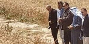 بالبلدي: «الزراعة» تشهد افتتاح موسم حصاد القمح في سيناء