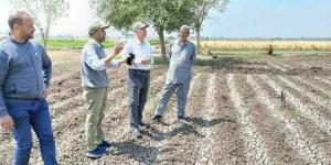 الزراعة تتابع البرامج البحثية وتربية التقاوى للمحاصيل الاستراتيجية في محطة بحوث سدس بمحافظة بنى سويف