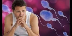 بالبلدي : سبب العقم عند الذكور.. نتائج جديدة بشأن العوامل الوراثية