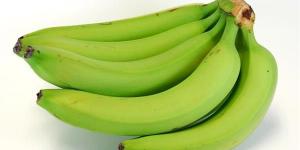 بالبلدي : فوائد الموز غير الناضج.. لماذا يرشحه أخصائيو التغذية؟
