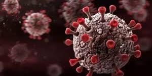 بالبلدي : هل يشكل فيروس كورونا خطرا أكبر للوفاة بين مرضى السرطان؟