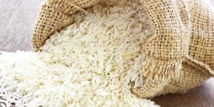 بالبلدي: خطة الحكومة لزراعة أصناف جديدة من الأرز وتوفيره بالأسواق