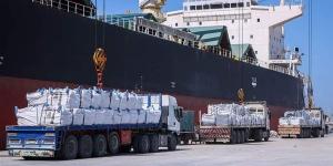 بالبلدي: ميناء دمياط يستقبل 6598 طن قمح على متن سفينة قادمة من أوكرانيا belbalady.net
