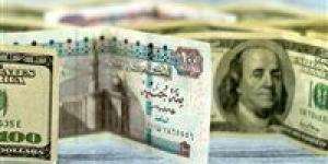 بالبلدي: أسعار الدولار مقابل الجنيه المصري اليوم الجمعة