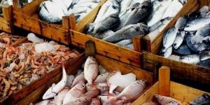 بالبلدي: أسعار الأسماك اليوم الأحد 21-4-2024 في الأسواق.. والجمبري يسجل 510 جنيه