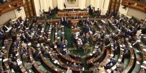 بالبلدي: النواب يوافق على حذف كلمة ” الرجل الحريص ” من التأمين الموحد