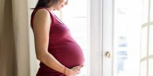 بالبلدي: «تقسيم الوجبات».. 4 نصائح ذهبية لتجنب زيادة الوزن خلال فترة الحمل