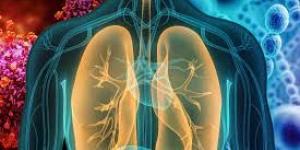 بالبلدي : دراسة: المضادات الحيوية الشائعة قد تساهم في مكافحة الالتهابات الفيروسية بالجهاز التنفسي