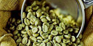 بالبلدي : مواعيد شرب القهوة الخضراء للتخسيس.. تعرف عليها