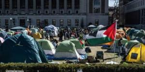 بالبلدي: مواصلة الاحتجاجات في جامعة كولومبيا للمطالبة بوقف إطلاق النار في غزة|شاهد belbalady.net