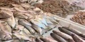 بالبلدي : أسعار الأسماك اليوم الأربعاء 1 مايو في سوق العبور