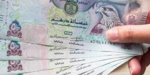 بالبلدي: سعر الدرهم الإماراتي مقابل الجنيه المصري قبل أجازة البنوك