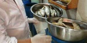 محافظ الغربية: رقابة مشددة على الأسواق ومحلات بيع الأسماك المملحة في شم النسيم