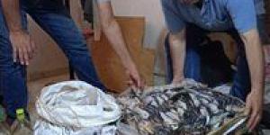بالبلدي : ضبط 13 طن لحوم ودواجن وأسماك غير صالحة للاستهلاك الآدمي خلال 10 أيام بالبحيرة