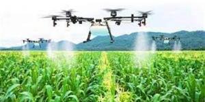 بالبلدي: برلماني يؤكد أهمية استخدام التقنيات الزراعية المتقدمة لزيادة إنتاجية الأراضي belbalady.net