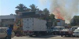 بالبلدي : السيطرة على حريق اندلع في أشجار نخيل بأسوان