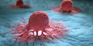 بالبلدي : كيف يمكن الاستفادة من الساعة البيولوجية لتعزيز العلاج المناعي للسرطان؟