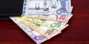 بالبلدي : سعر الريال السعودي أمام الجنيه اليوم الخميس