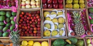 بالبلدي: أسعار الفاكهة اليوم الخميس 30-5-2024 بالأسواق