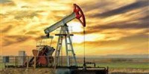 بالبلدي : هبوط كبير في أسعار النفط رغم قرار أوبك+ بخصوص الإنتاج