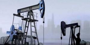 ارتفاع أسعار النفط في نهاية تعاملات الاثنين بالبلدي | BeLBaLaDy
