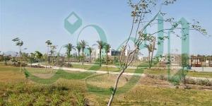بالبلدي: زراعة 80 ألف شجرة مثمرة بجنوب سيناء