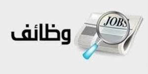بالبلدي : فرصة عمل مميزفي في بنك كريدي أجريكول مصر.. "التفاصيل وكيفية التقديم"