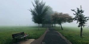 بالبلدي: ارتفاع
      حصيلة
      ضحايا
      الإعصار
      فونج-وونج
      في
      الفلبين
      إلى
      18
      قتيلا