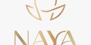 بالبلدي : “مجموعة
      مكسيم
      للاستثمار”
      راع
      بلاتيني
      للمؤتمر
      العالمي
      للسكان
      والصحة
      PHDC’25
      وتعلن
      عن
      استثمار
      3.5
      مليار
      جنيه
      في
      منتجع
      نايا
      ويلنس
      للسياحة
      العلاجيةبمصر