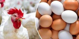 بالبلدي: الفراخ
البيضاء
بكام؟..
أسعار
الدواجن
والبيض
اليوم
الأحد
16
نوفمبر
2025