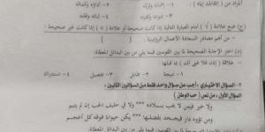 بالبلدي : تداول
امتحان
العربي
للشهادة
الإعدادية
2026
الاسكندرية
على
جروبات
الغش