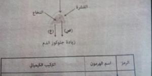 بالبلدي : حل
امتحان
احياء
تالته
ثانوي
أزهر
2026
علمي
..
الإجابات
الكاملة