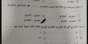 بالبلدي : لليوم
الثامن|
تداول
امتحان
أحياء
تالته
ثانوي
أزهر
2026
علمي
«صفحات
الغش»