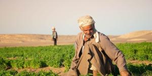 بالبلدي : سيكم
      تحقق
      نموًا
      12%
      في
      2025..
      الصادرات
      تمثل
      51%
      من
      المبيعات
      وشبكة
      المزارعين
      تتجاوز
      40
      ألفًا
