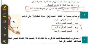 بالبلدي: بالاجابات..
      الاختبار
      الاسترشادى
      العاشر
      أحياء
      ثانوية
      عامة
      2026