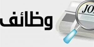 وزارة
      العمل
      تعلن
      توفير
      1100
      فرصة
      عمل
      جديدة
      بالقطاع
      الخاص..
      وظائف
      للفنيين
      والمهندسين
      والسائقين