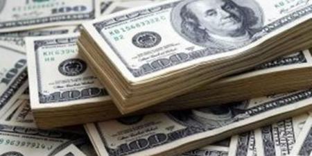 بالبلدي: رويترز تفجر مفاجأة عن سعر الدولار في مصر بعد خمسة أشهر بالبلدي | BeLBaLaDy