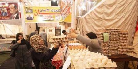 بالبلدي: ارتفاع أسعار الفراخ في بورصة الدواجن اليوم الجمعة 27-1-2023