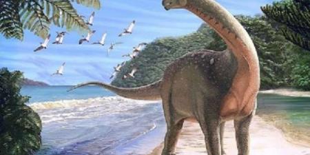 ألوان الوطن | كل ما تريد معرفته عن الديناصور المصري منصوراسوروس في ذكرى العثور عليه "بالبلدي"