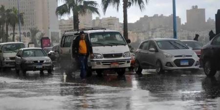 بالبلدي: الأمطار تغزو الإسكندرية والبحيرة وكفر الشيخ (شاهد)