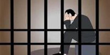 بالبلدي: حبس مالك ثلاجة لحيازته دواجن مجهولة المصدر بالجيزة
