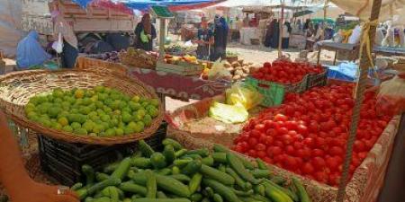 بالبلدي: تعرف على أسعار الخضراوات فى الأسواق اليوم الإثنين