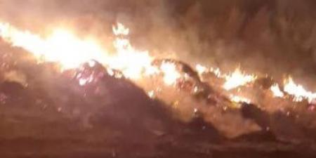 بالبلدي: الحماية المدنية تواصل محاولات السيطرة على حريق مزرعة الإسماعيلية