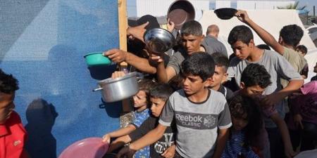 بالبلدي: صندوق الأمم المتحدة للسكان يحذر من خطورة منع تقديم المساعدات للفلسطينيين belbalady.net