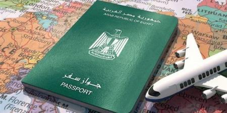 بالبلدي: مع الاحتفاظ بـ«المصرية».. آليات جديدة للحصول على الجنسية الأجنبية belbalady.net