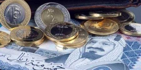 بالبلدي : سعر الريال السعودي أمام الجنيه المصري اليوم الثلاثاء